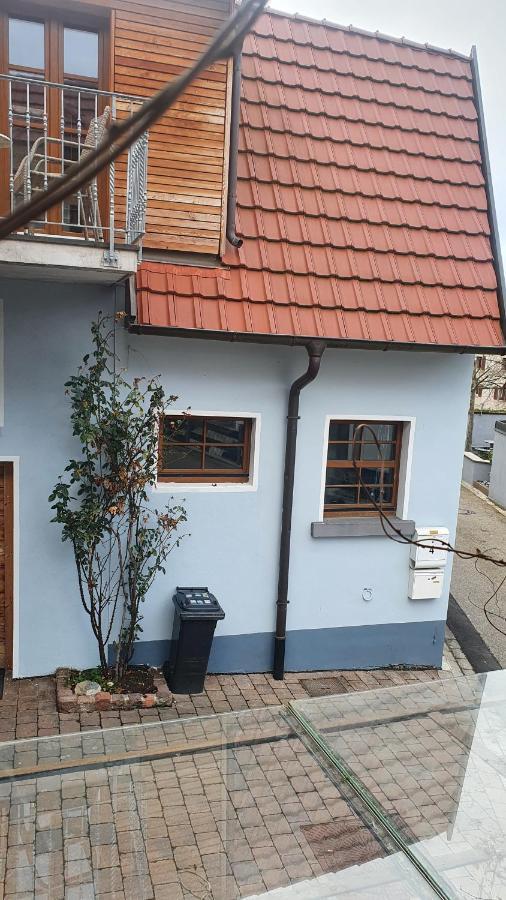 Ferienwohnung Im Bueckle Gottenheim Екстериор снимка